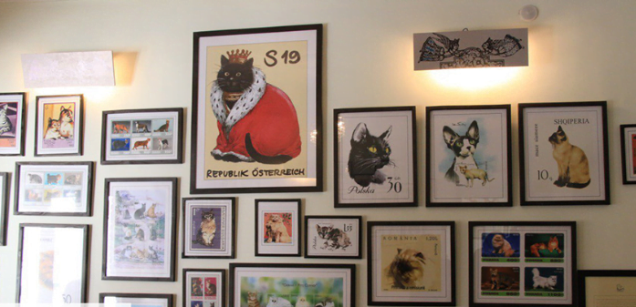 کافه موزه گربه ایرانی،کافه ای با حس و حال گربه های ایرانی کافه موزه گربه ایرانی ، کافه ای با حس و حال گربه های ایرانی